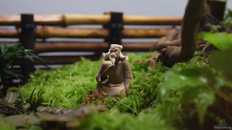 Dekoration im Terrarium ZEN von Junglist (11)