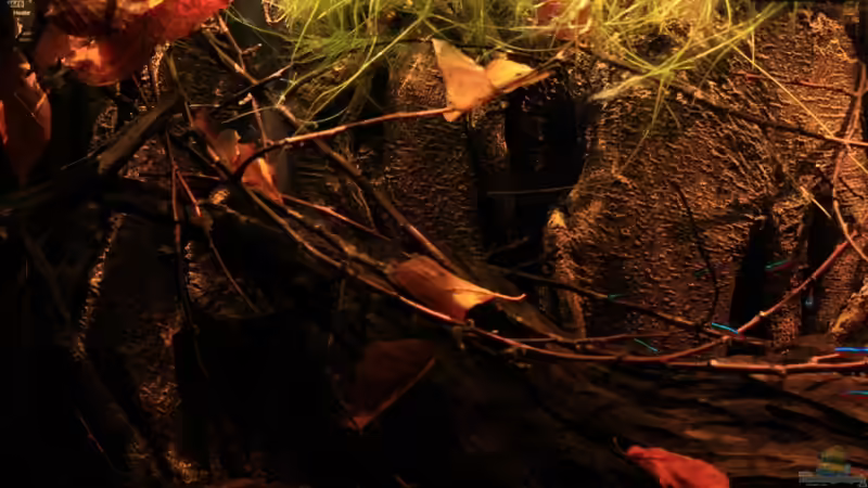 Dekoration und Licht ein Zusammenspiel im Becken von Florian Bandhauer (27)