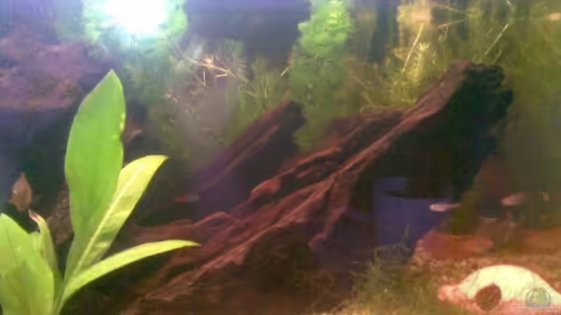 Dekoration von Andy_L (2)