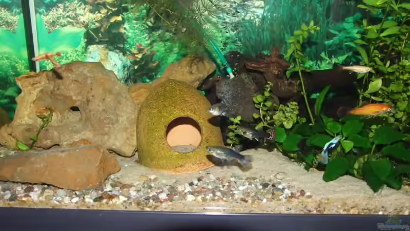 dekoration von Jarno Wilens (9)