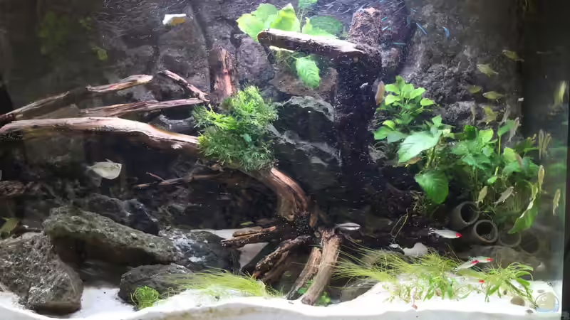 Dekoration von maxheadroom (10)