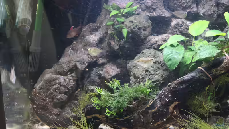 Dekoration von maxheadroom (11)