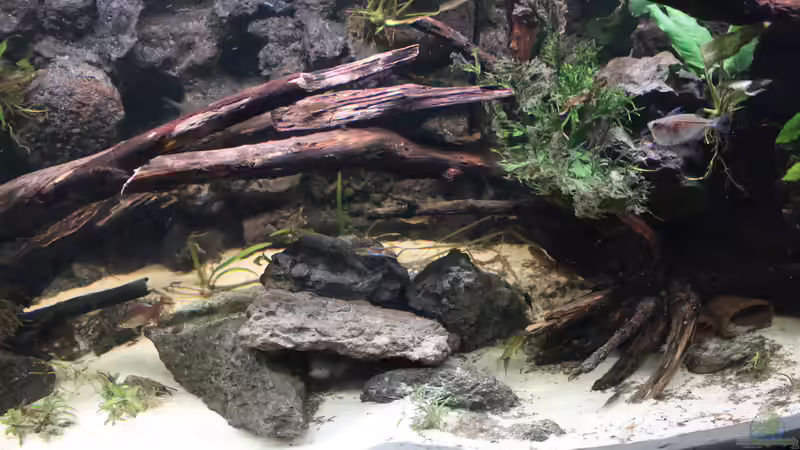 Dekoration von maxheadroom (6)