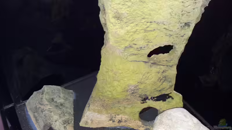 Dekoration von ollil81 (22)