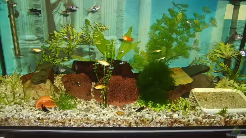 Dekoration von Silke Schlüter (5)