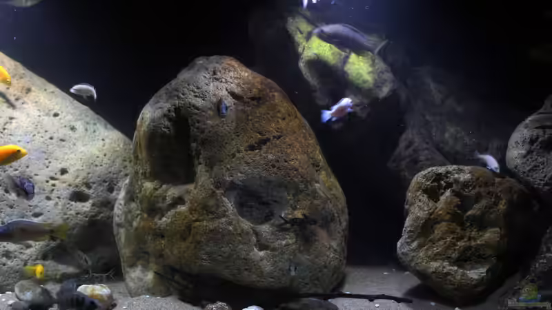 Dekorationen  von Florian Bandhauer (36)