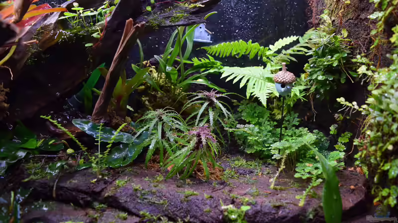 Dekorationselemente: DIY im Terrarium