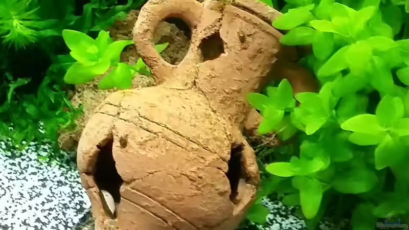 Dekorationskrug mit LED-Beleuchtung von Angie777 (20)