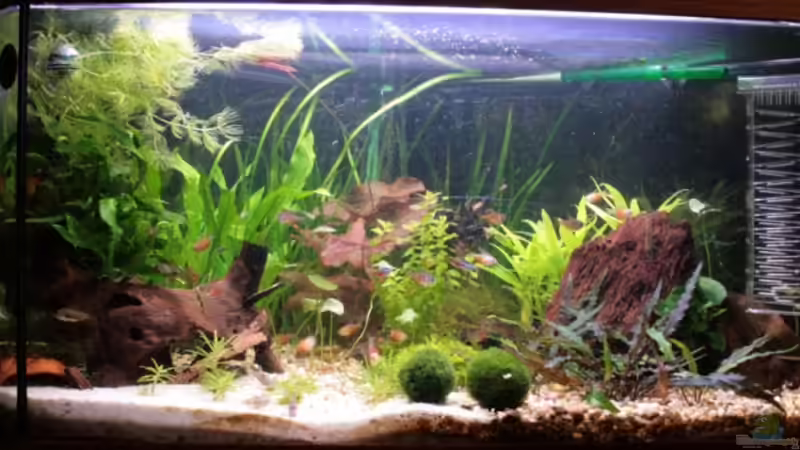 Delta 100 Frontalansicht 15.10.2008