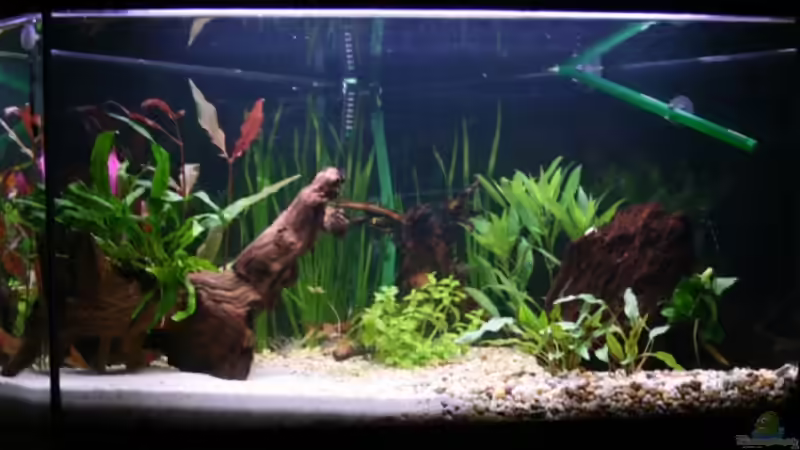 Delta 100 Frontalansicht 21.08.2008 von StefanE. (2)