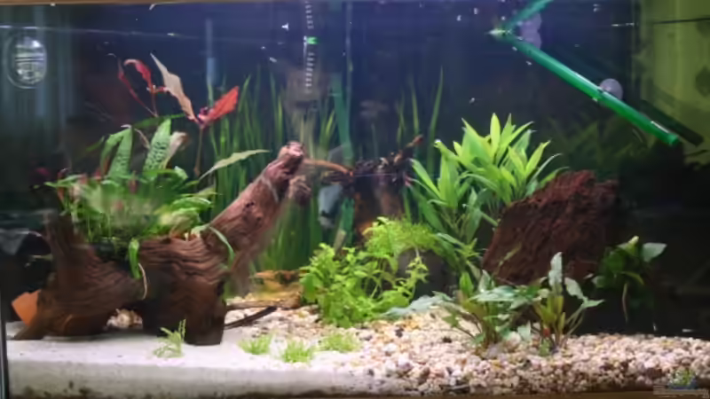 Delta 100 Frontalansicht 28.08.2008 von StefanE. (3)