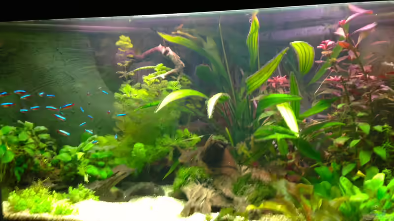 Delta 70x70x50x25/25 von Michel (2)