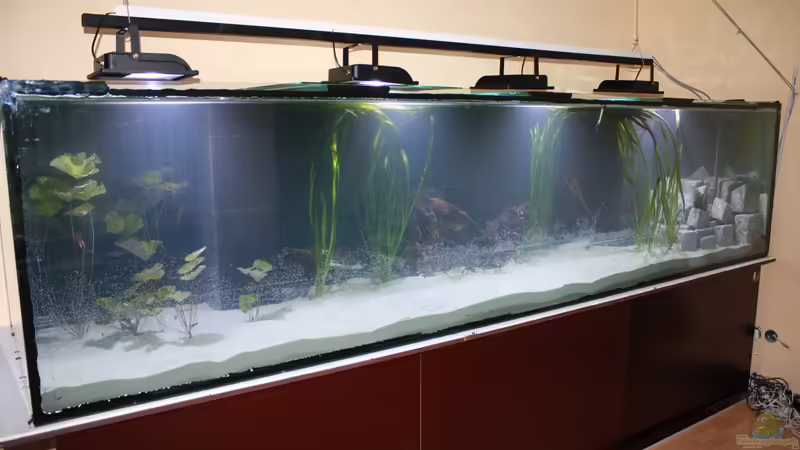 Demnächst bessere Bilder von Fishers Friend (8)