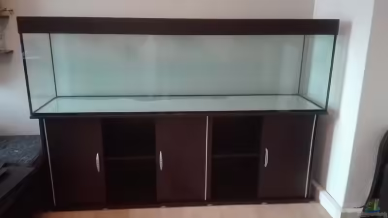 Den Durchblick behalten: Das beste Glas für das Aquarium