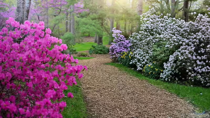 Den Garten aufwerten: Randbepflanzung von Wegen