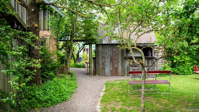 Den Garten hitzeresilient gestalten: So können Gartenbesitzer handeln
