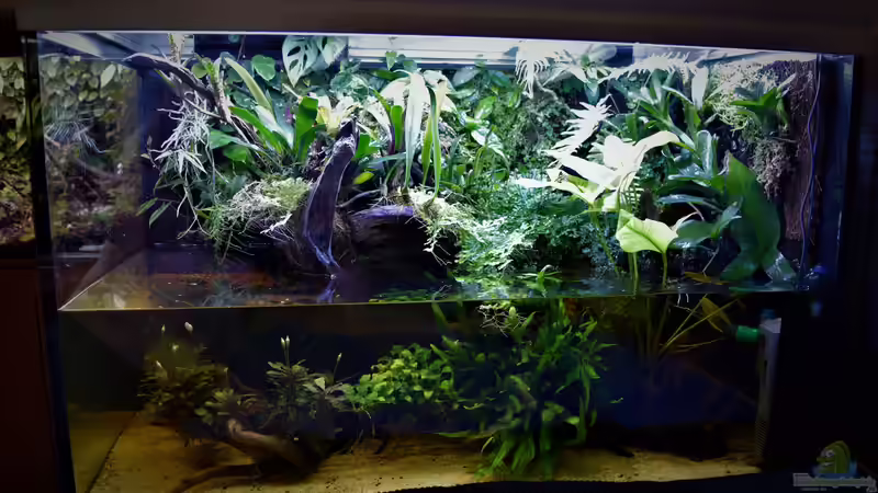 Den richtigen Standort für ein Terrarium oder Aquarium finden
