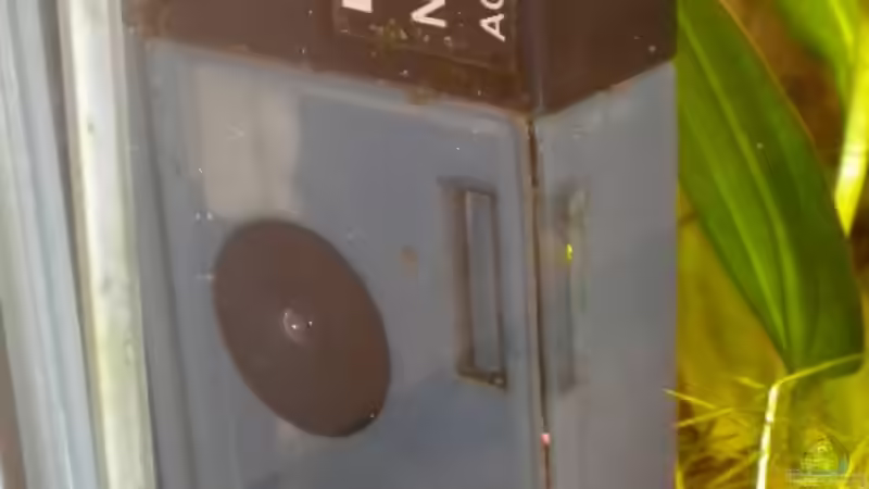 Denerle Eckfilter für Nanoaquarien von Marci (11)