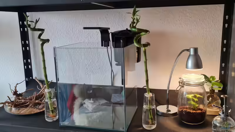 Dennerle 30 l Cube von David Schneider Aquaristik (8)