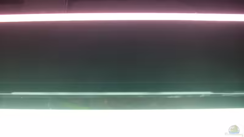 Dennerle Amazon Day, JBL Colour von @quarium Cologne (74)