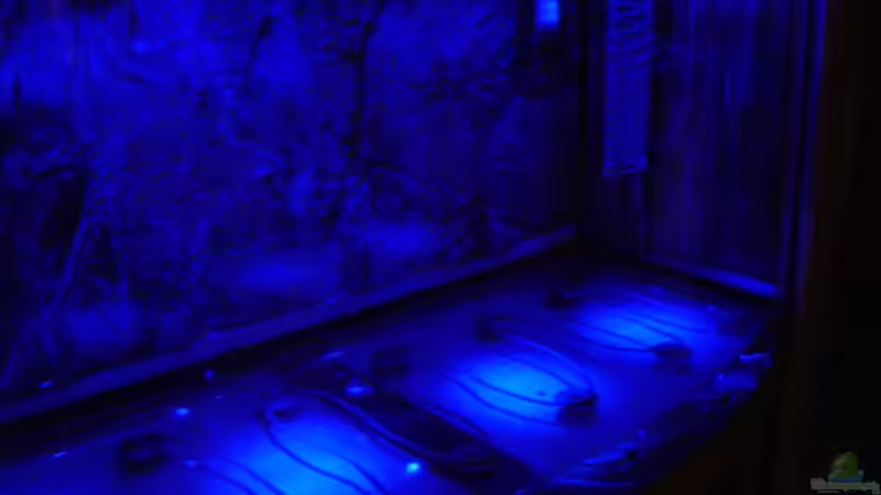 Dennerle Bodenfluter 25 Watt bei Mondlicht von David Weidenbacher (20)