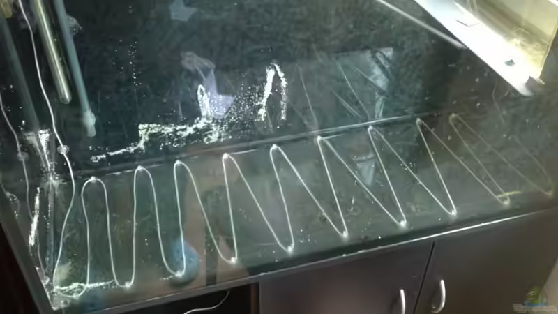 Dennerle Bodenfluter 40W eingesetzt von Pipp Amerika (2)