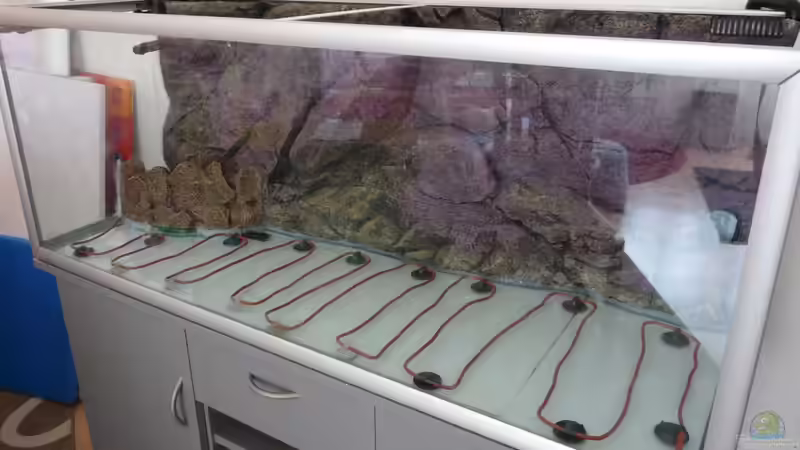 Dennerle Bodenfluter Heizung von Guzzi-Werner (4)