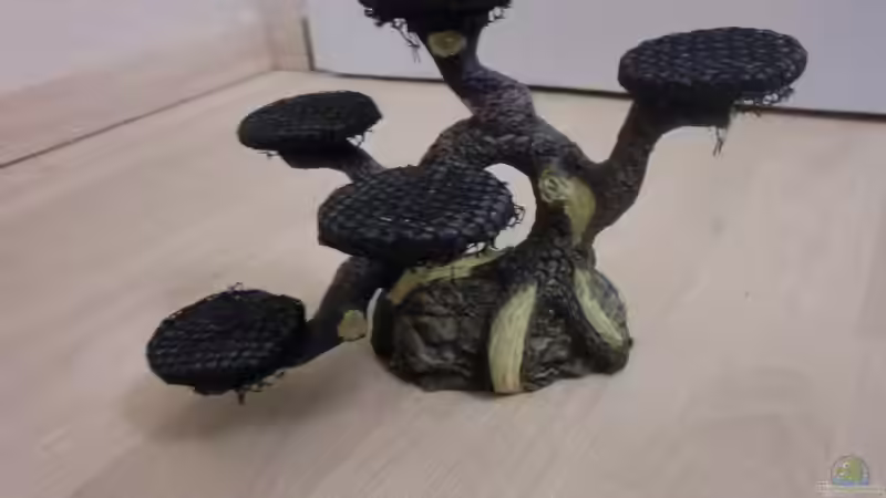 Dennerle Bonsai (Kunstharz) von RoZan (28)