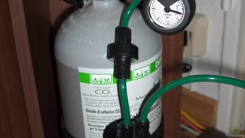 Dennerle Classic Line CO2 Exclusive MK II von Der Siems (30)