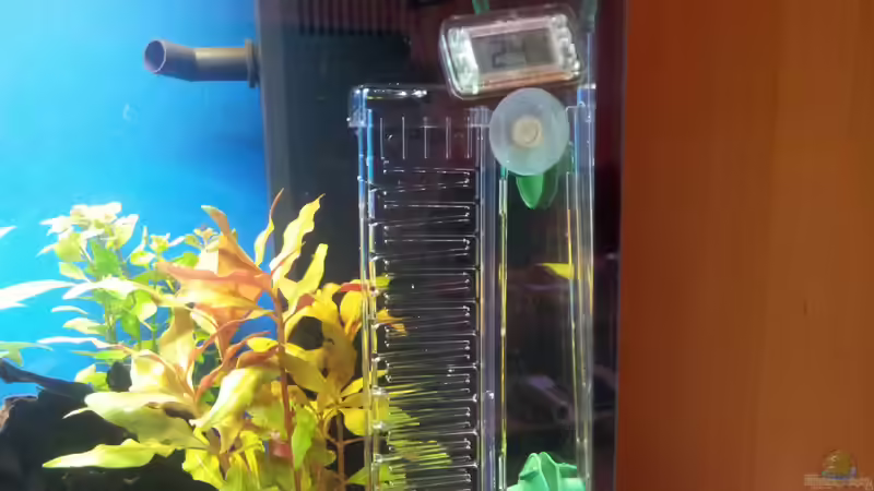 Dennerle CO2 160 Primus/thermometer von Shiml (15)