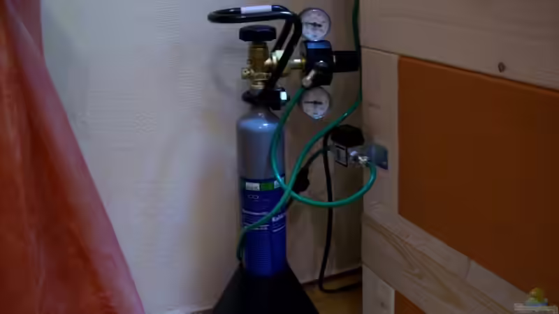 Dennerle CO2 Anlage  von Stefan Reinl (18)