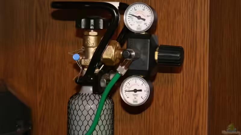 Dennerle Co2 Anlage von StefanE. (23)