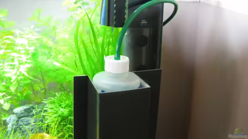 Dennerle Co2 Bio von Jens Nessenius (4)