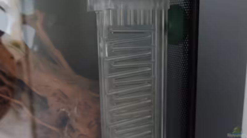 Dennerle CO2 Flipper von ernst11 (33)