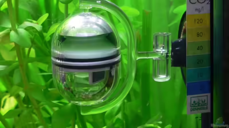 Dennerle CO2 Langzeittest Correct von Lars T. (4)