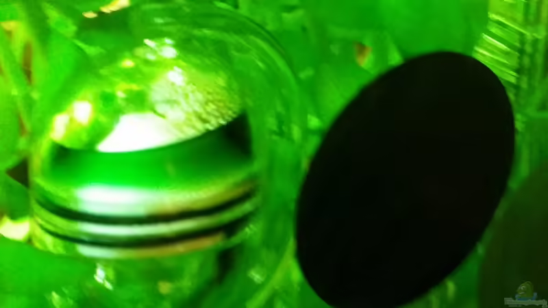 Dennerle CO2 Langzeittest von Angie777 (25)