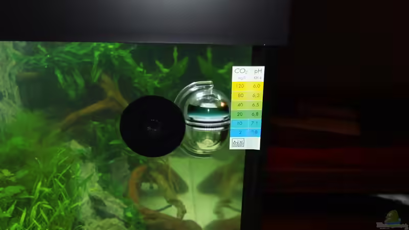 Dennerle CO2 Langzeittest von Jah Gaid (19)