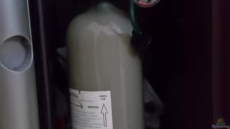 Dennerle CO2 Pflanzen-Dünge-Set Mehrweg 300 Quantum von Ichigo (37)