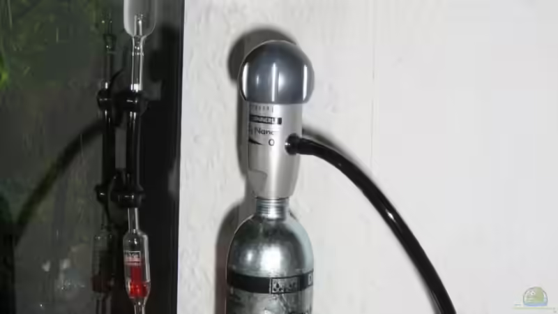 Dennerle Crystal-Set 125 und  Nano Set von Aquarium-Bochum (12)