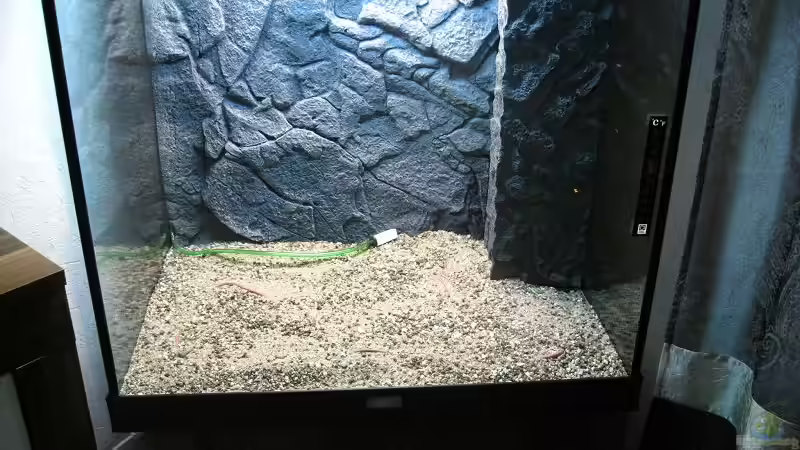 Dennerle Deponit Mix von Sergio10 (4)