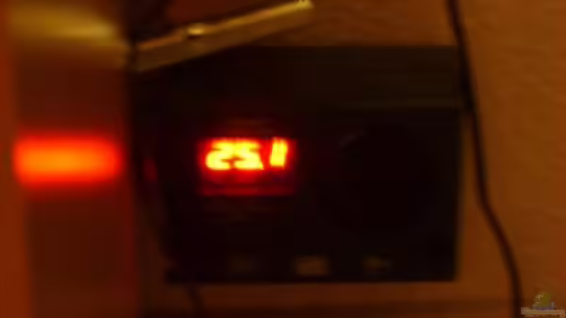 Dennerle digital Duomat 1200 Bodenfluter nicht angeschlossen da ich den nicht brauche von Malawi und Diskus Fan (4)