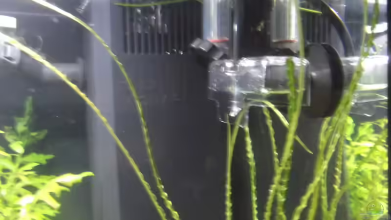 Dennerle Dosator & Mini-Topper von Aquaristricks (14)