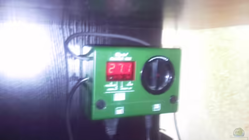 Dennerle Duomat Digital von Francesco (10)