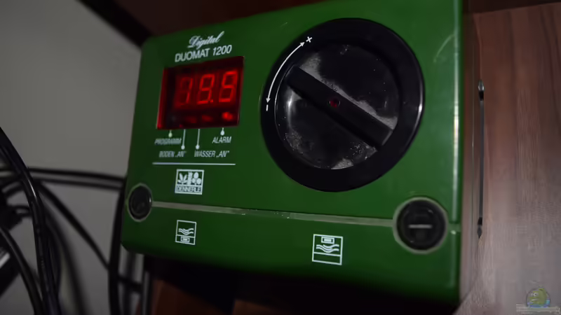 Dennerle Duomat von Junglist (57)