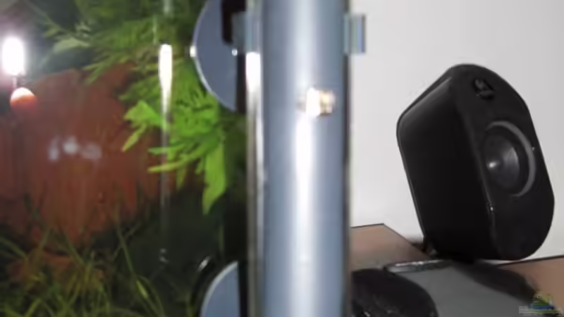 Dennerle Heizstab 50 W von Malawi TOM (30)