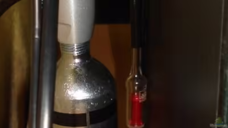 Dennerle Nano CO2 Blasenzähler ´Crystal´ mit Dennerle Rücklaufventil ´Crystal von David Weidenbacher (13)