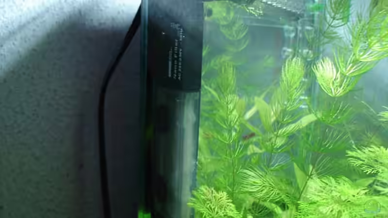 Dennerle Nano Eck-Innenfilter von hej kompisar (18)