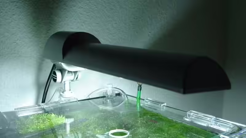 Dennerle Nano Light 11W von hej kompisar (19)