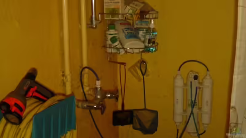 Dennerle Osmose Einrichtung von David Weidenbacher (28)