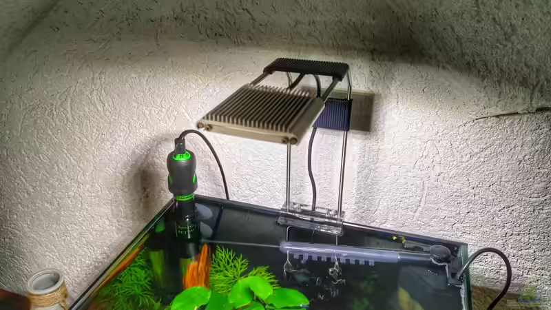 Dennerle Power LED 5.0, Tetra HT 50 Heizregler und Dennerle Nano-Eckfilter mit Baby von Solvin (3)